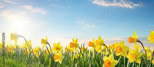 In springtime a picturesque...