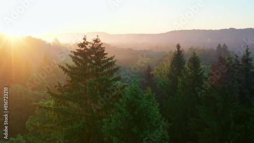 Drone footage of an evergreen trees in a forest with sunset scene over green hills in the background photo