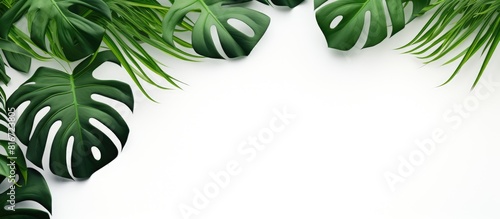 A stunning image of vibrant green monstera leaves against a clean white backdrop beautifully captures the essence of summer It depicts a flat lay perspective with a top view offering ample copy space