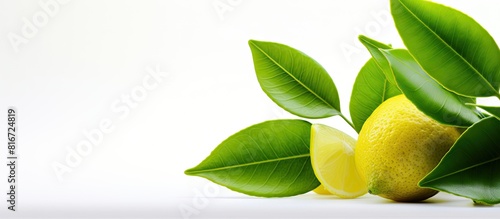 Copy space image of a vibrant lime or lemon adorned with leaves against a crisp white backdrop
