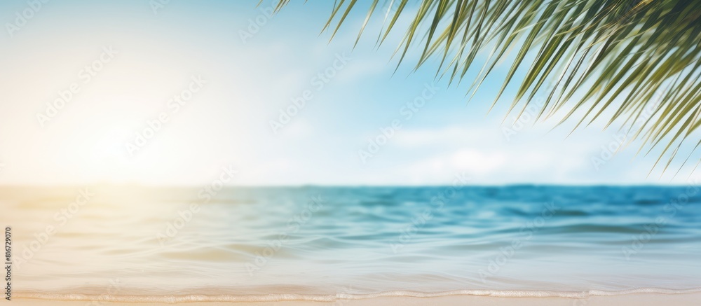 A stunning abstract beach backdrop featuring a palm leaf s shadow on a white sand beach The sunlight shimmers on the water creating a captivating copy space image ideal for a summer vacation banner A stunning abstract beach backdrop featuring a palm leaf s shadow on a white sand beach The sunlight shimmers on the water creating a captivating copy space image ideal for a summer vacation banner