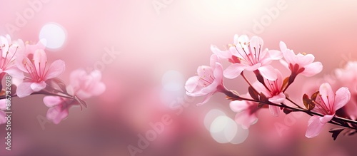 A stunning bokeh background filled with pink flowers perfect for a summer themed image with copy space