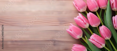 A copy space image of tulips arranged on a backdrop of pink wooden