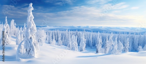 A scenic view of Lapland in Europe on a sunny day showcasing a breathtaking landscape covered in snow. with copy space image. Place for adding text or design