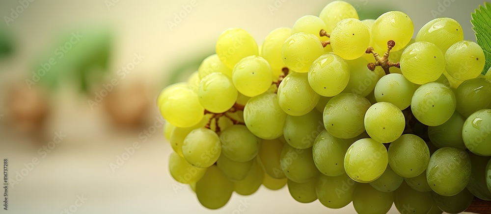 Image showing a bunch of green grapes with copy space Image showing a bunch of green grapes with copy space