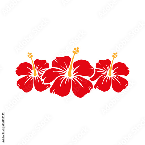 Logo vacaciones en Hawái. Marco con la silueta de 3 flores de hibisco