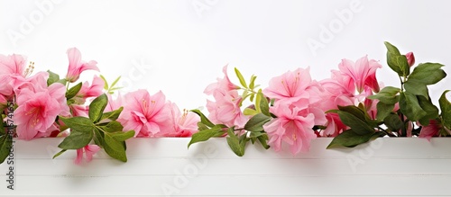 A stunning arrangement of pink flowers with vibrant green leaves gracefully adorns the white wall creating a captivating copy space image