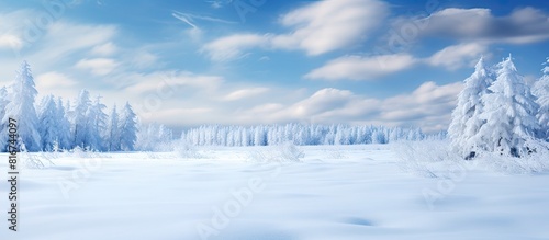 Scenic winter landscape showcasing a snowy field and a forest perfect for a copy space image