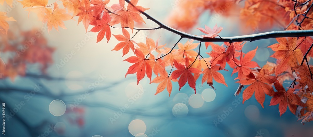 An image showing the vibrant colors of autumn with cherry leaves transforming into a beautiful backdrop. with copy space image. Place for adding text or design An image showing the vibrant colors of autumn with cherry leaves transforming into a beautiful backdrop. with copy space image. Place for adding text or design