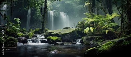 In the nature park a tranquil waterfall cascades over moss covered rocks surrounded by tropical plants and a misted stream The serene scene is devoid of any human presence creating a spacious image w