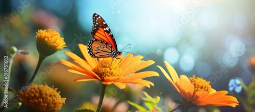 A beautiful orange butterfly gracefully perched on a vibrant flower creating the perfect composition for a stunning copy space image