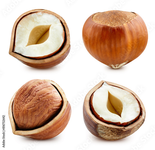 Hazelnut isolated. Hazelnut Filberton white background. Forest nuts with clipping path