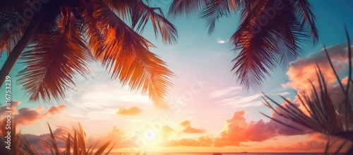 Copy space image of colorful tropical palm coconut trees against a backdrop of a stunning sunset sky highlighted by flares and bokeh capturing the essence of a vibrant summer nature scene