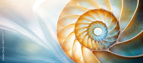 The golden ratio spiral is clearly visible in the macro photo of the seashell creating a captivating and mesmerizing image with plenty of copy space