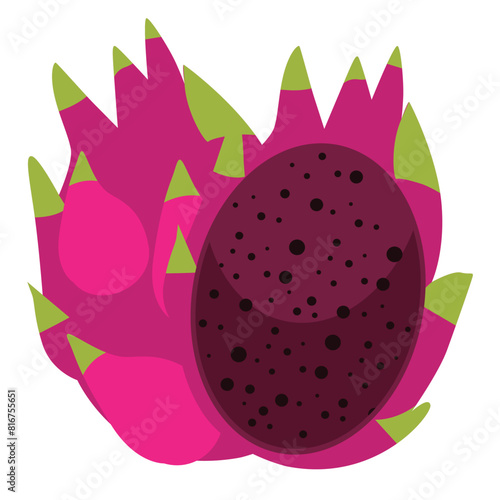 Red dragon fruit of buah naga merah, flat design vector illustation, whole and half slice, pitaya or pitahaya isolated on white background