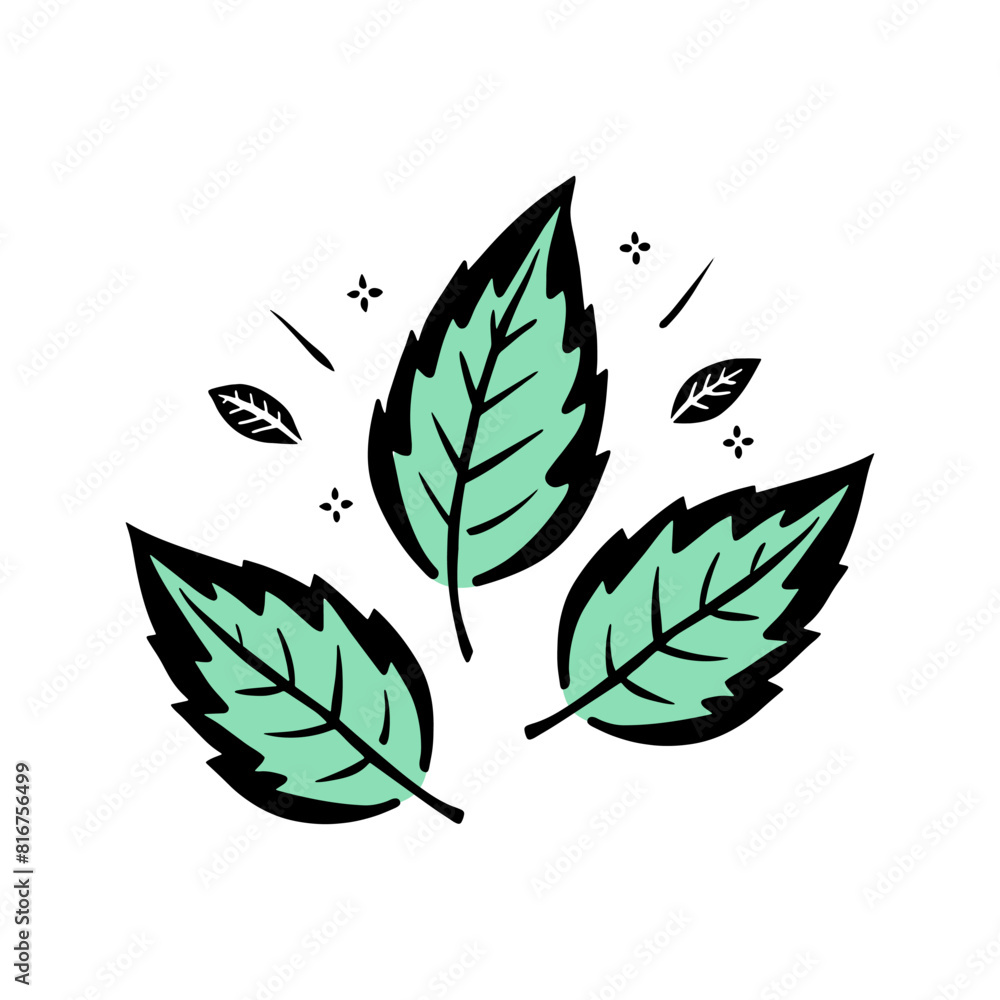 Fototapeta premium Leaves Mint stylized doodle, contour drawing mint color, isolated on white background.