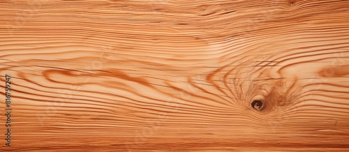 Abstract Rough Pine Wood Grain Wide Texture Or Background Close up. copy space available