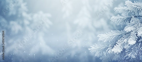 Green spruce branches covered with fresh white snow Copy space background © Gular