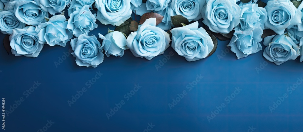artificial roses on a blue background frame for text copy space artificial roses on a blue background frame for text copy space
