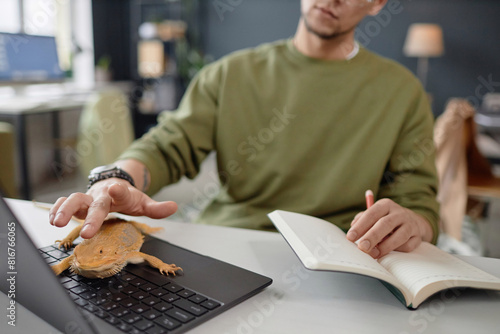 Close up of unrecognizable man petting iguana sitting on laptop keyboard while working in pet friendly office copy space