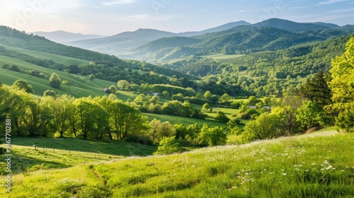 Wallpaper Mural Fresh green mountain scenery with meadows fields and trees touched by the morning sun in early spring for nature walks Torontodigital.ca