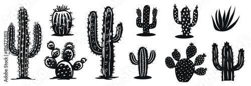 Cactus vector illustration. Different desert plants hand drawn black on white background. Cacti silhouette.