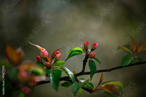 Foto a small branch of some kind with pink flowers on it