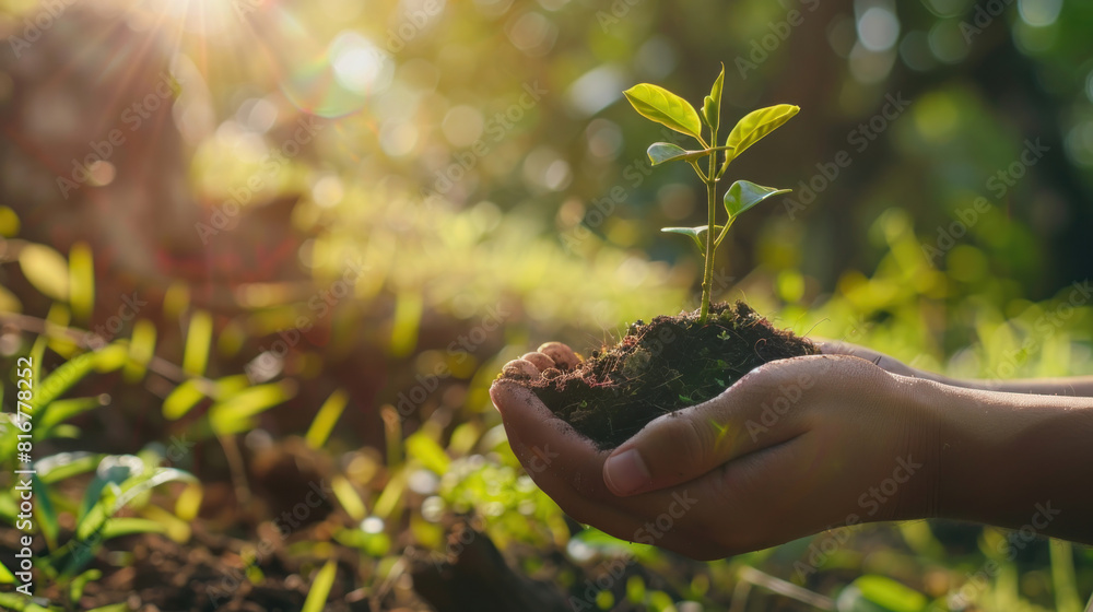Fototapeta premium Reconnect with nature through sustainable practices and eco-friendly habits