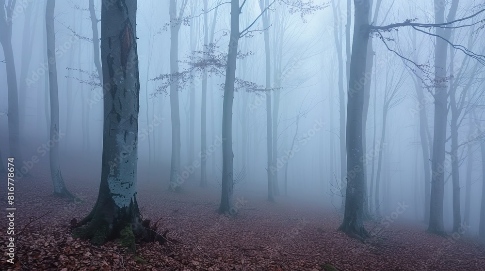 fog blanketing a tranquil forest, creating an ethereal atmosphere fog blanketing a tranquil forest, creating an ethereal atmosphere