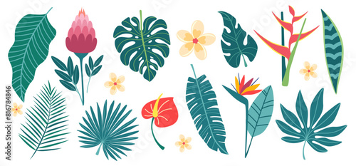 Exotic leaves and flowers set in simple flat design. Tropical plants isolated on white background. Vector illustration.
