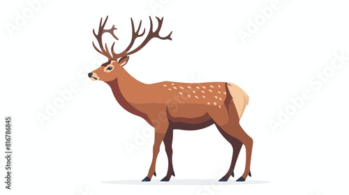 Red deer with antlers wild forest animal. Male adult
