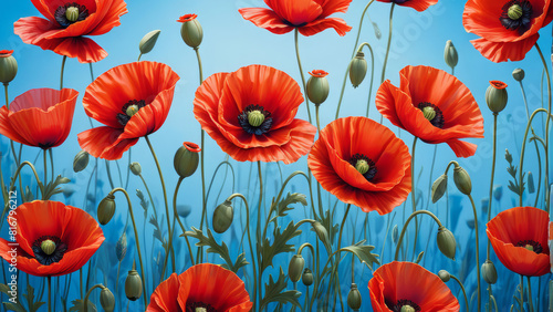  vibrant red poppy flowers set against a serene blue background. The rich red hues of the poppies contrast beautifully with the calming blue backdrop