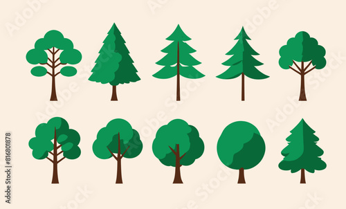 a set of different types of trees