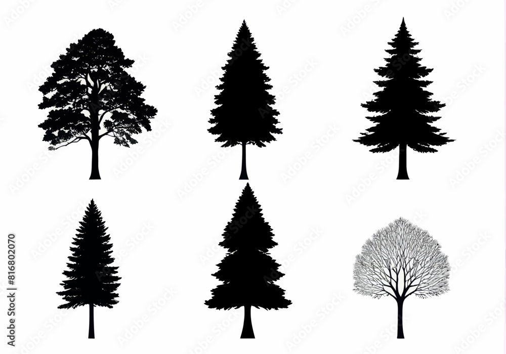 a group of trees that are black and white