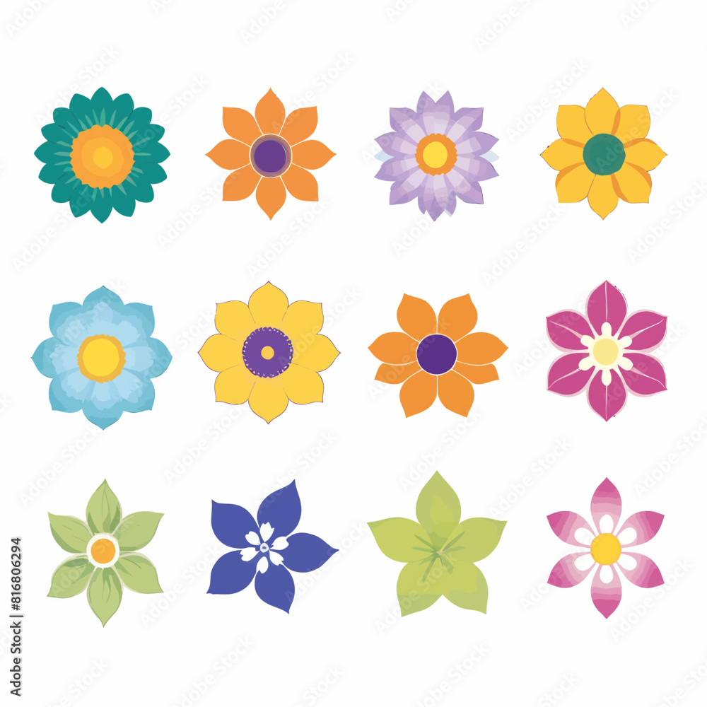 a bunch of different colored flowers on a white background a bunch of different colored flowers on a white background