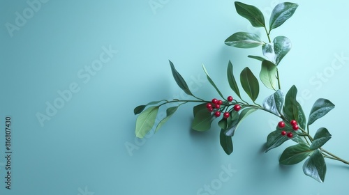 Christmas Mistletoe Magic and Winter Whimsy photo