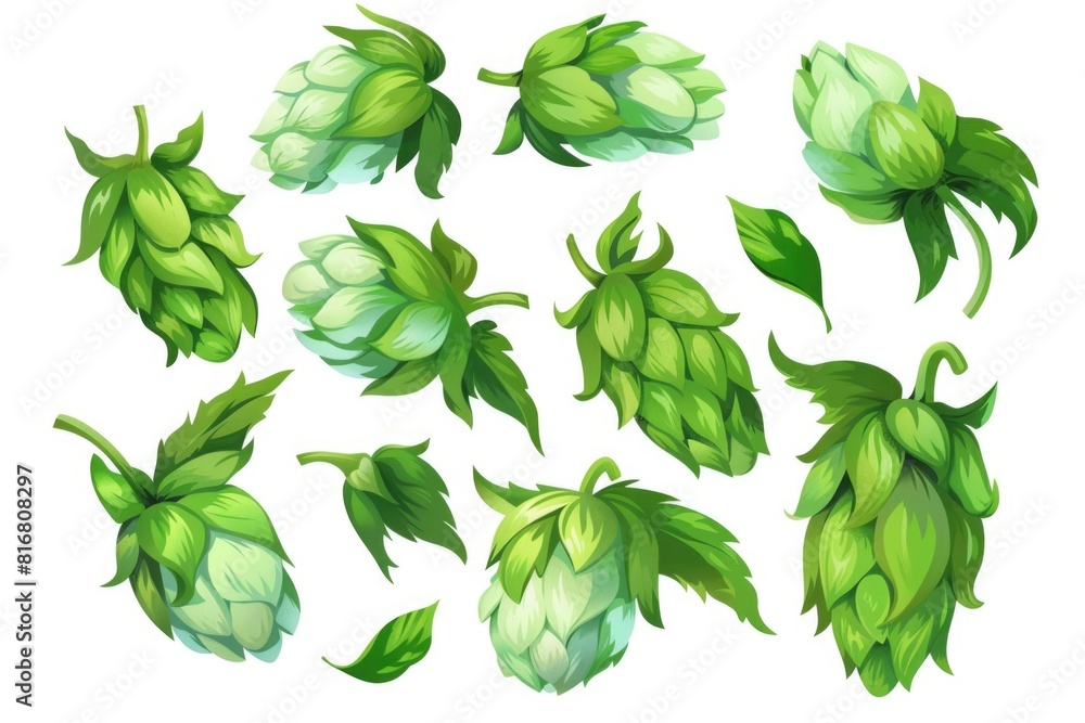 Fresh green hopa leaves on a clean white backdrop. Ideal for botanical presentations Fresh green hopa leaves on a clean white backdrop. Ideal for botanical presentations