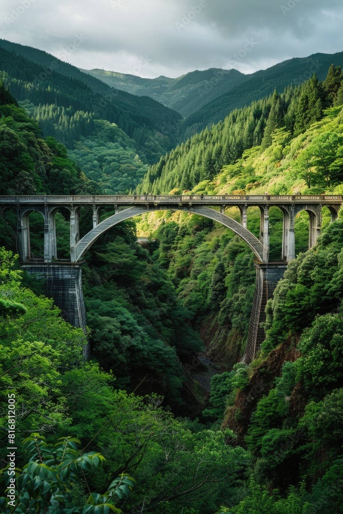 Scenic bridge over green valley, perfect for nature concepts Scenic bridge over green valley, perfect for nature concepts