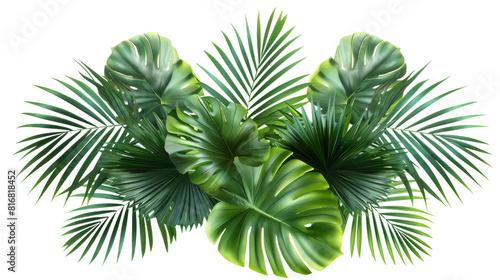 A vibrant collection of tropical leaves rests gracefully against a pristine white backdrop  showcasing natures intricate beauty and exotic allure