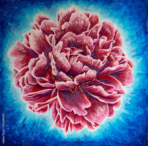 Large rose peony peony flower painting. Pink purple fluffy peony rose flower on blue background realism natural flora oil painting on canvas