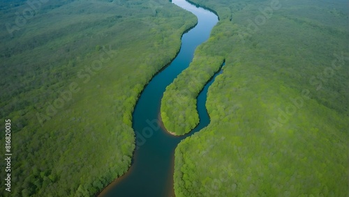 beautiful mountain natural green field wetlands of forest in the wild forest mountain ,Clean Air natural fresh Air concept. Forest lake Rainforest ecosystem mangrove ... See More 