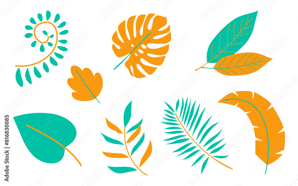 Monstera and palm leaves collection isolated on white background. Exotic and botanical plant element Monstera and palm leaves collection isolated on white background. Exotic and botanical plant element