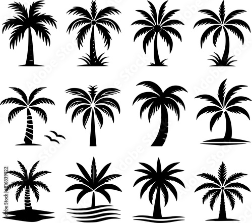 palm tree vector set silhouettes simple style 