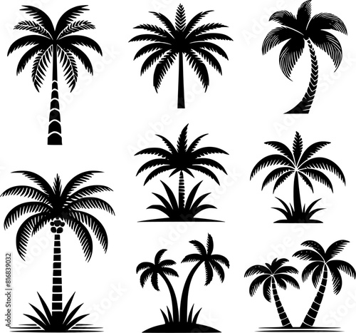 palm tree vector set silhouettes simple style 