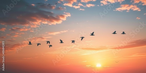 A flock of birds is flying in the sky at sunset. The sky is a gradient of orange, yellow, pink and blue. The birds are black silhouettes. The sun is a bright yellow circle. © kiimoshi