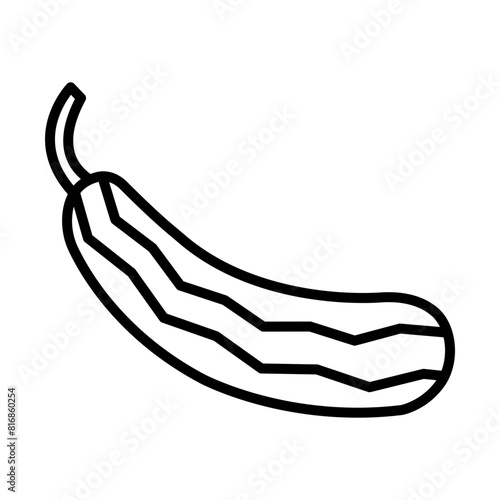 Ridge gourd line icon