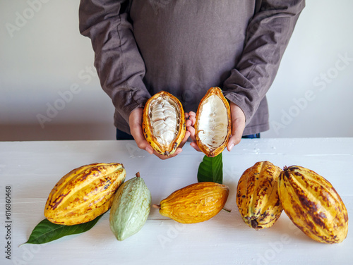 Healthy lifestyle, Cut in half fresh yellow ripe cacao pods reveals cacao beans, slide cacao fruit in the hands of teenagers