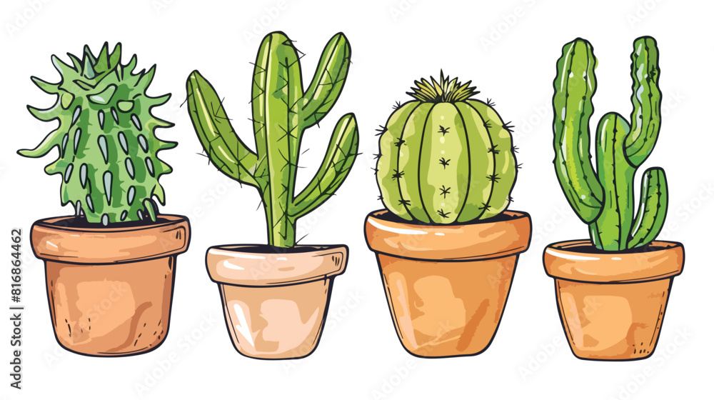 Cactus and succulents Four. Four plants in pots flora