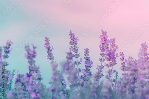 Abstract background - Pastel