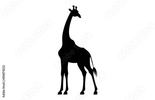 Giraffe Silhouette Vector art isolated on a white background